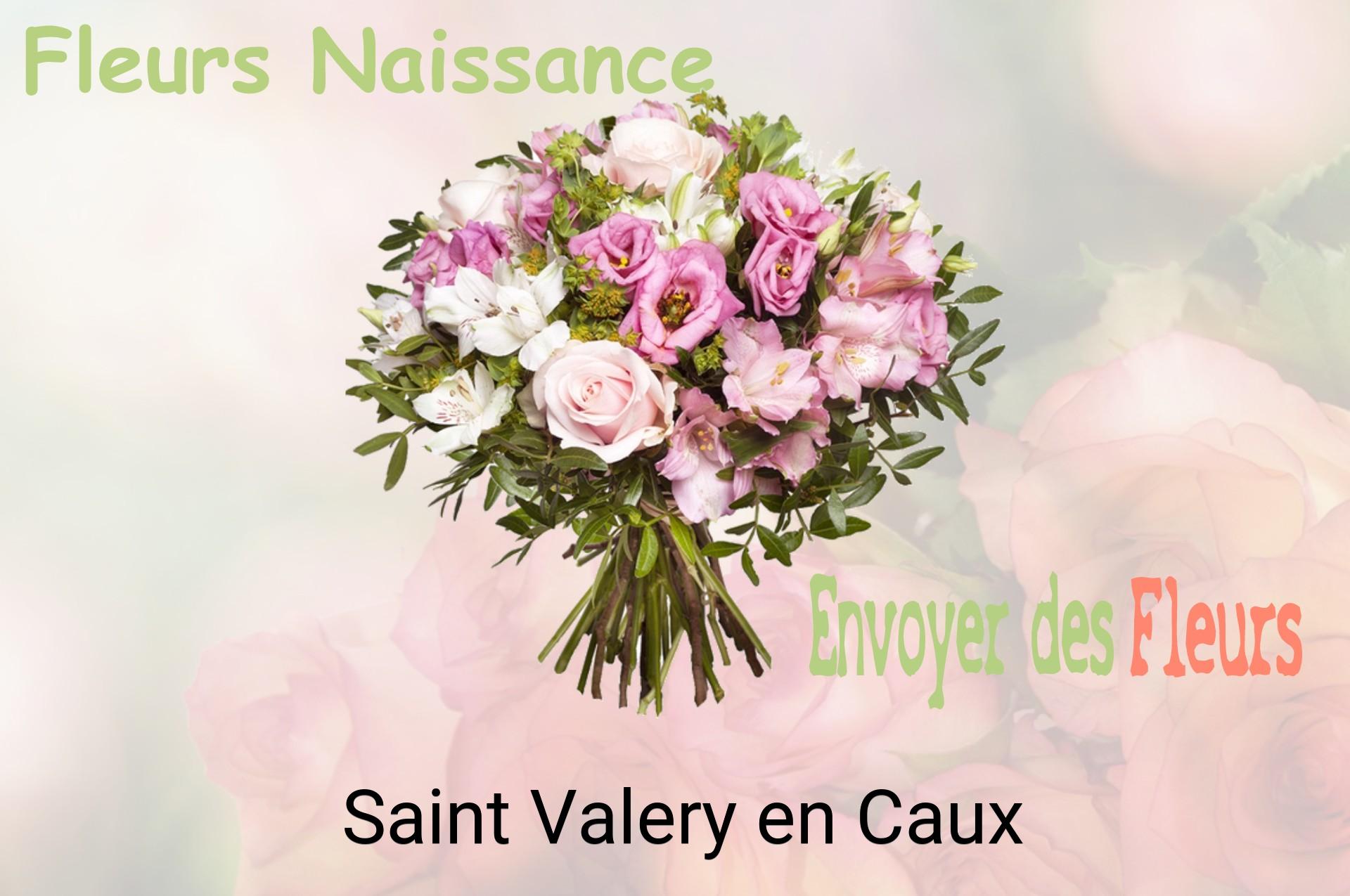 Bouquet de fleurs de naissance livré à Saint-Valery-en-Caux